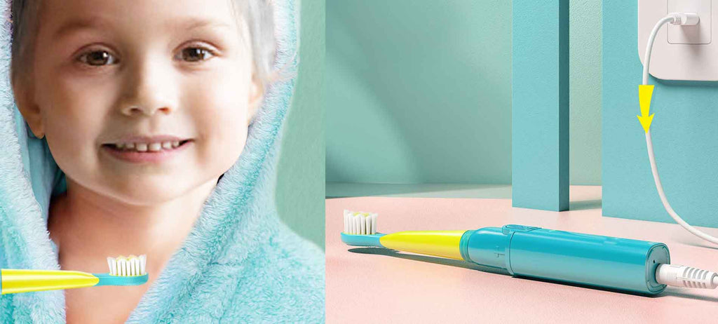 dual electric toothbrush